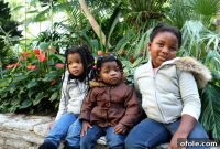 A Visit to Como Zoo