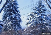 Winter Rundown