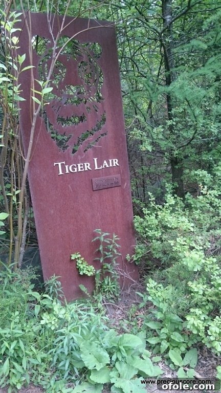 A scenic view of the zoo pathway, leading to other animal exhibits.