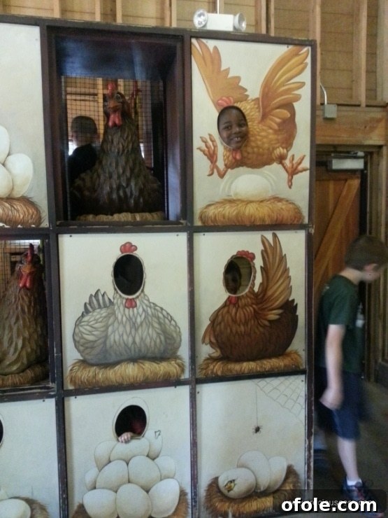 Children having fun and enjoying the animal farm experience.