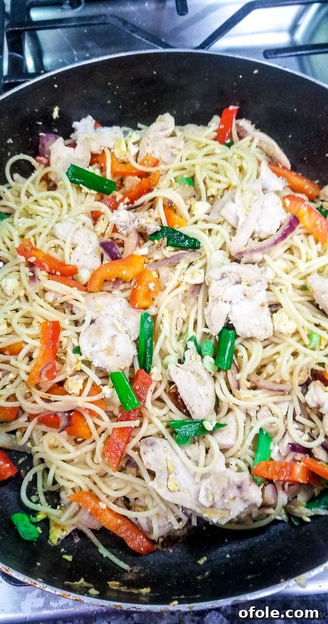 Spaghetti stir fry with chicken, eggs, and vegetables in a large pan, ready to serve.