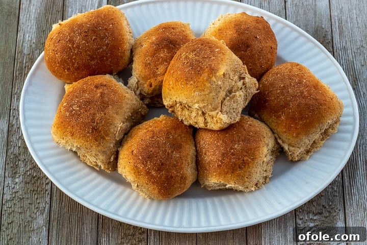 Honey Kissed Whole Wheat Dinner Rolls 3 Whole wheat rolls neatly arranged on a pristine white serving platter.