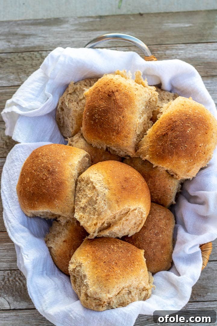 Honey Kissed Whole Wheat Dinner Rolls 7 A charming basket filled with warm, golden-brown wheat rolls, ready to be served.