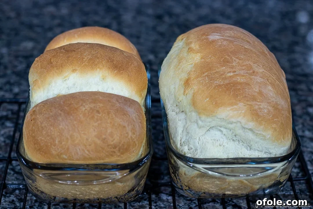 Two golden-brown loaves of Easy Sandwich Bread in glass loaf pans, fresh from the oven.