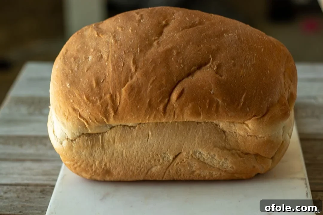 A freshly baked, golden loaf of easy sandwich bread resting on a marble board, ready to be sliced.