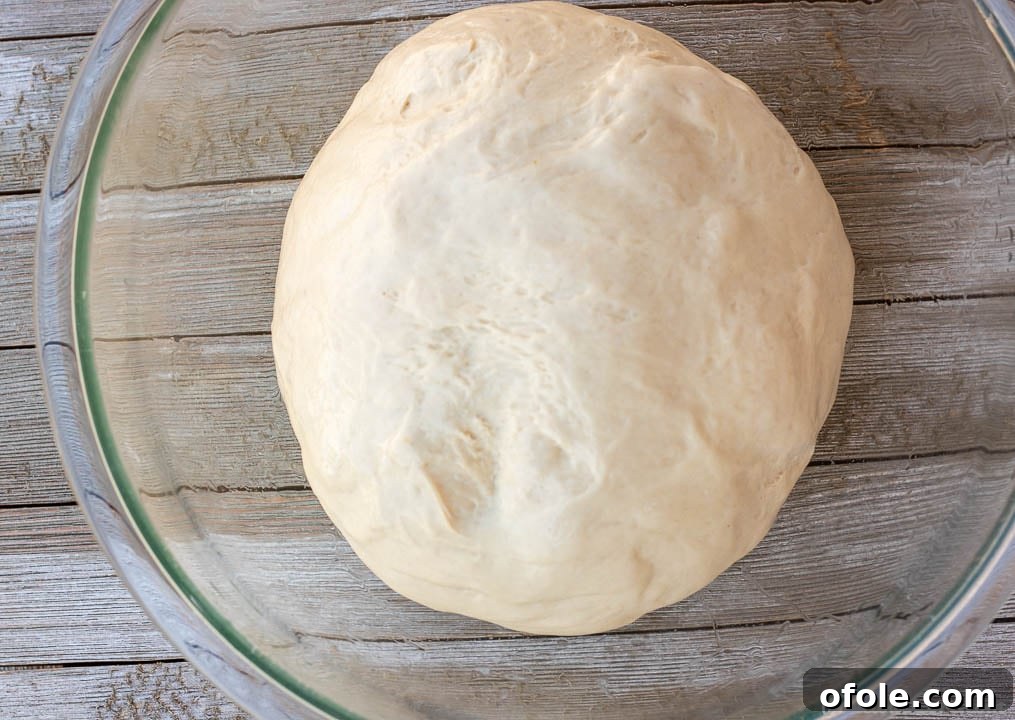 Soft sandwich bread dough resting in a mixing bowl after kneading, ready for its first rise.