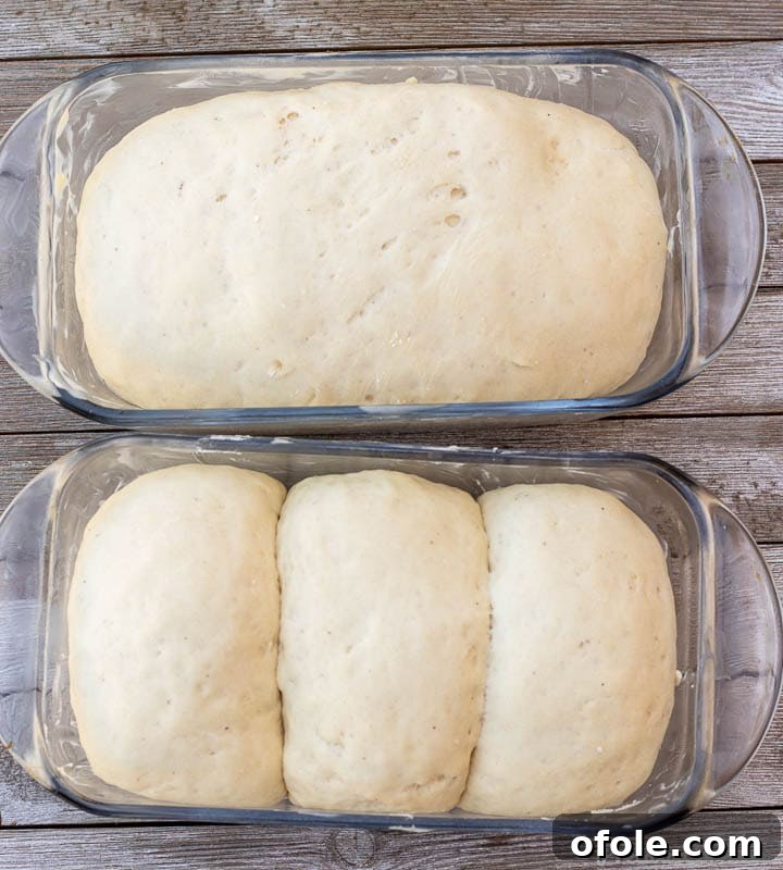 Dough rising in two loaf pans, nearly reaching the top, indicating a successful second proof.