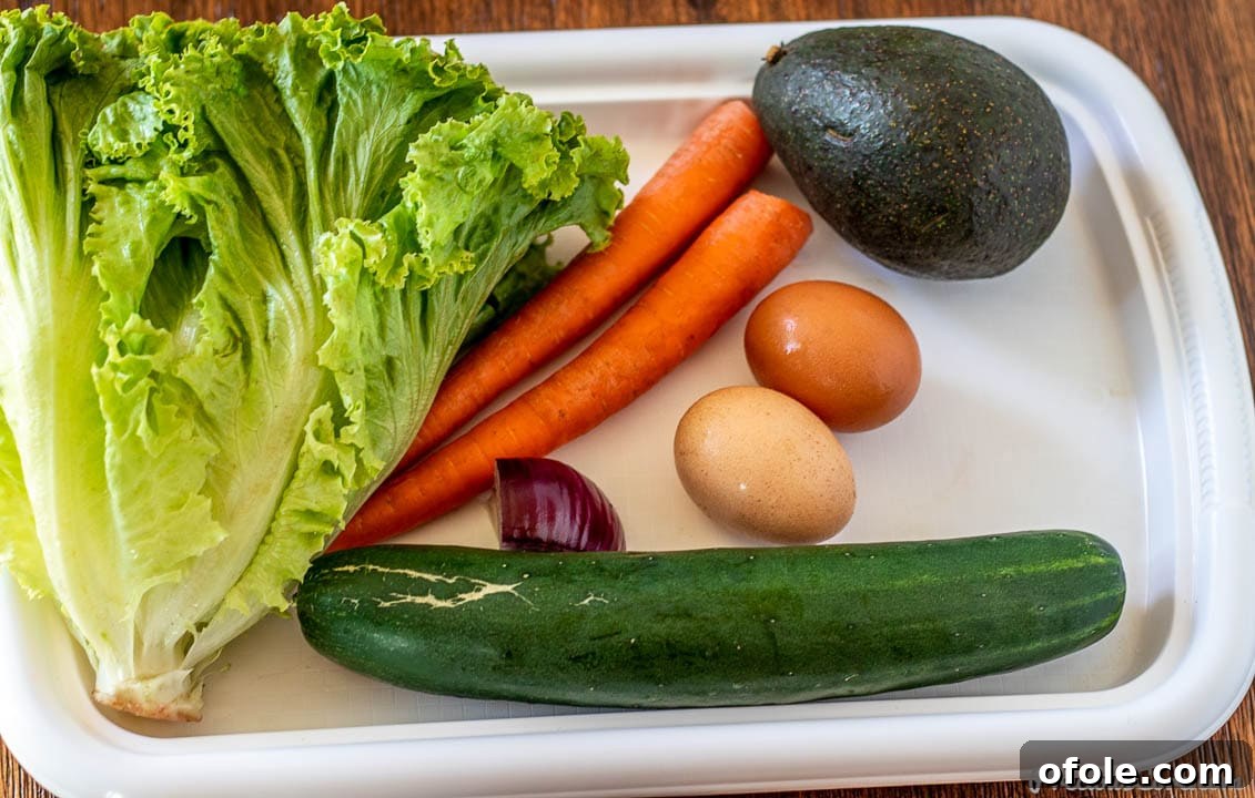 Crisp Green Salad 3 A selection of fresh, crisp ingredients for a lettuce salad, including green leaf lettuce, vibrant carrots, refreshing cucumber, creamy avocado, and protein-rich hard-boiled eggs, neatly arranged on a tray.