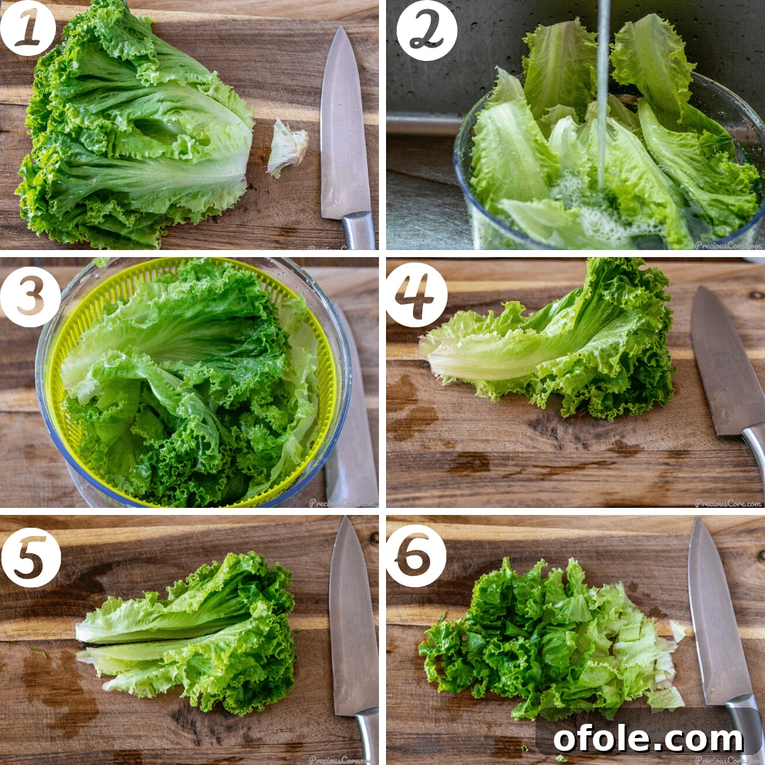 Crisp Green Salad 5 A visual guide with step-by-step photos illustrating the correct method for cutting and preparing lettuce for a fresh salad, ensuring crisp, bite-sized pieces.