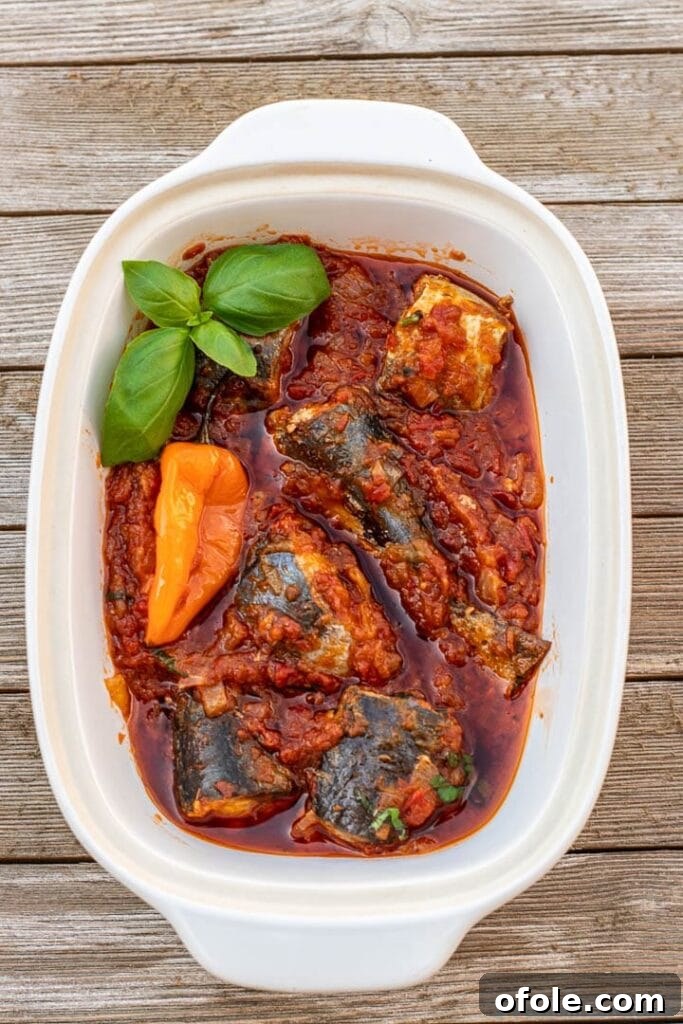 Fish Stew in a Bowl, garnished with fresh herbs