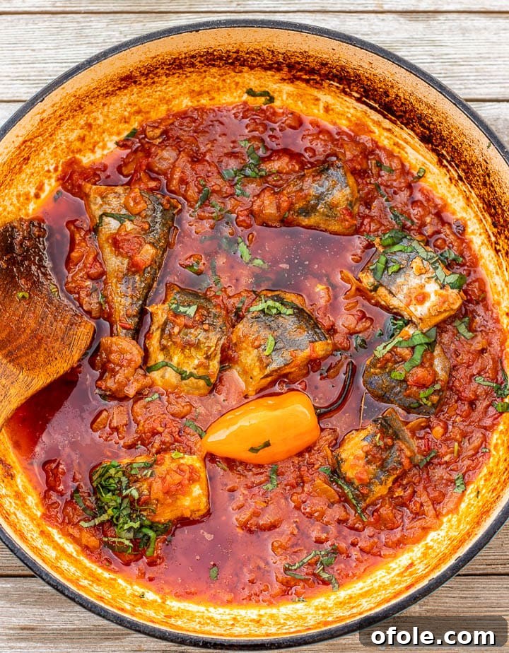 Cameroonian Tomato Fish Stew 5 Tomato based fish stew in a saute pot