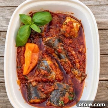 Cameroonian Tomato Fish Stew 8 Fish Stew in a Bowl