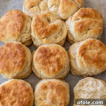 baked biscuits on parchment paper on a baking sheet