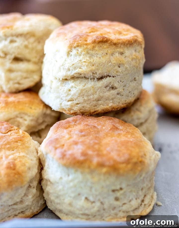 3 ingredient biscuits stacked on each other
