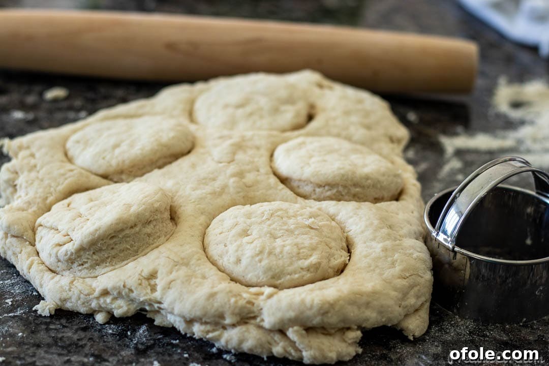 biscuit dough on counter top cut into circles, biscuit cutter on the side of dough