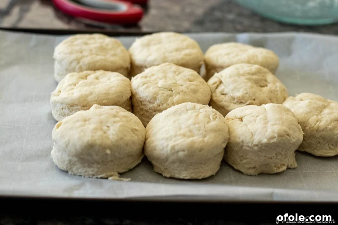 raw biscuit dough on baking sheet