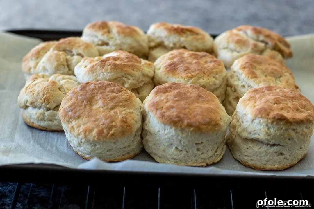 Freshly baked 3 ingredient biscuits on a baking sheet.