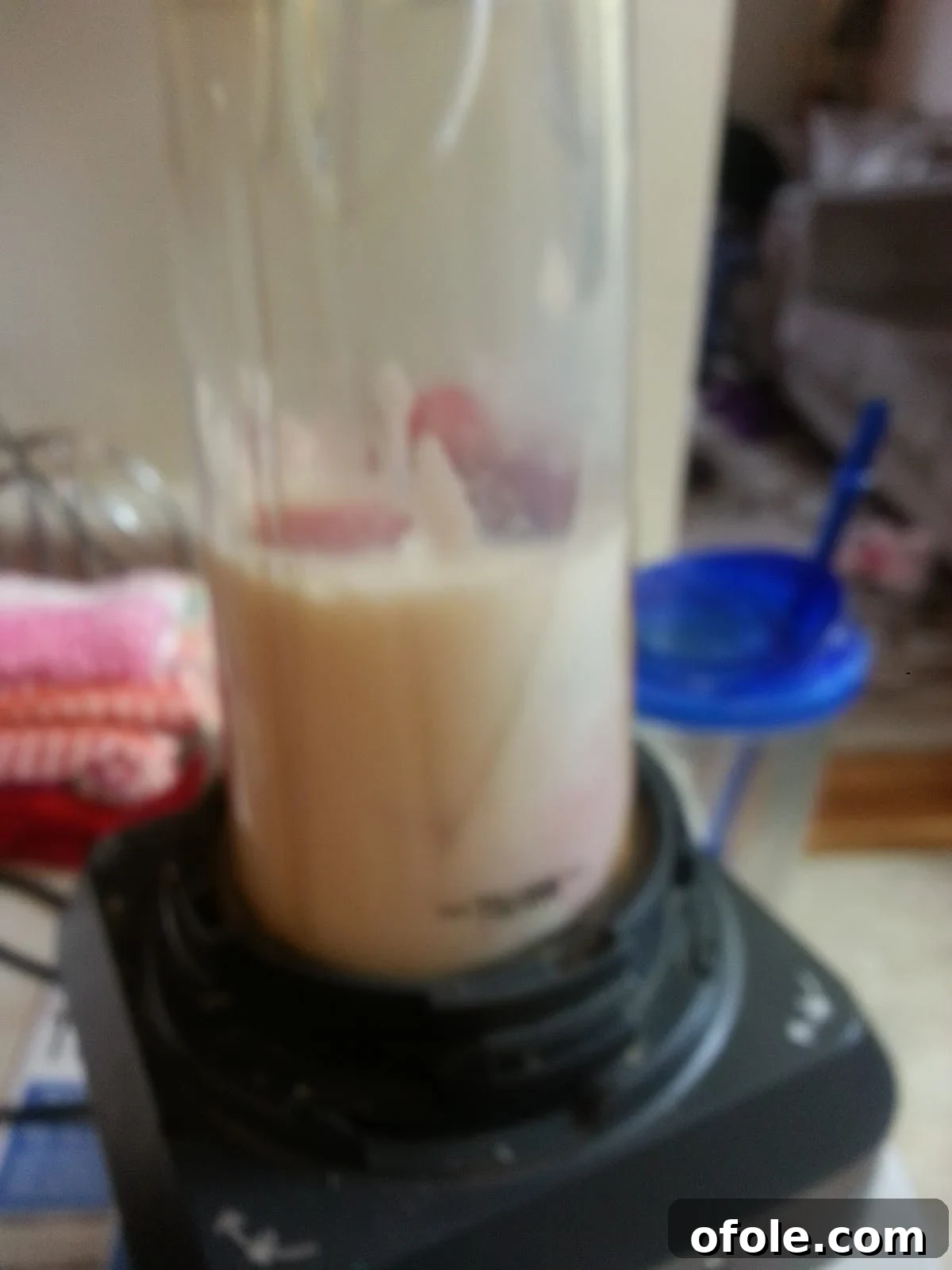 All ingredients in a blender, ready to be processed into a smooth mixture