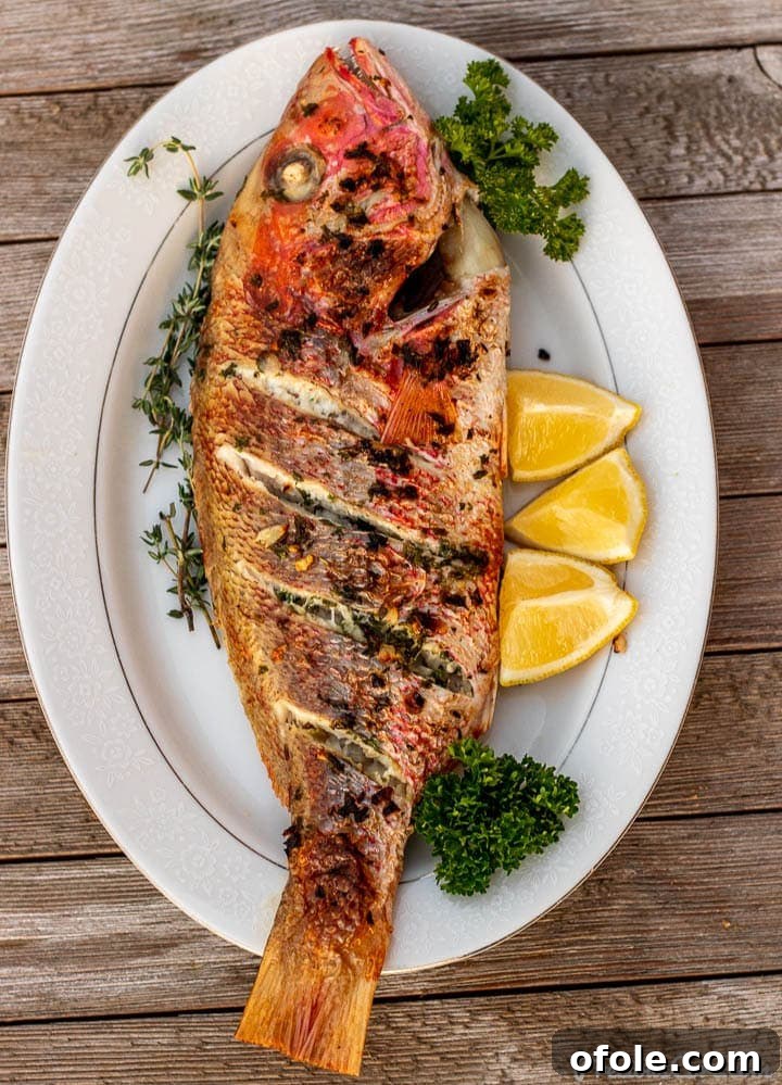 Oven-Grilled Whole Red Snapper 2 Beautifully oven-grilled whole red snapper served on a platter, garnished with fresh herbs and lemon slices.
