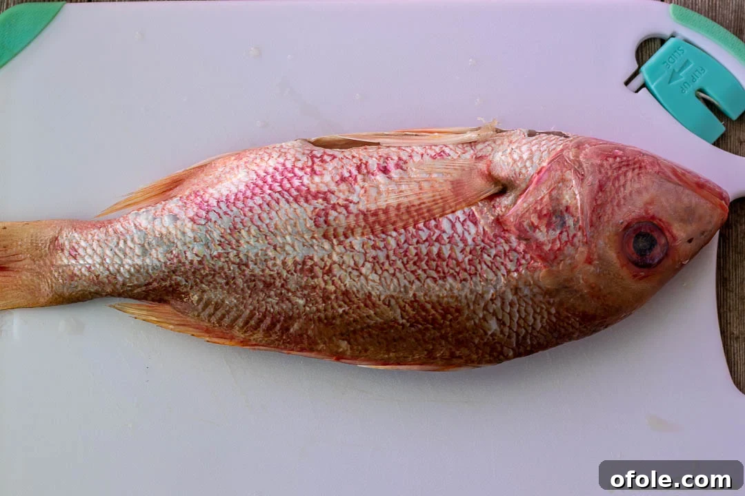Oven-Grilled Whole Red Snapper 4 A pristine, raw whole red snapper on a chopping board, ready for preparation.
