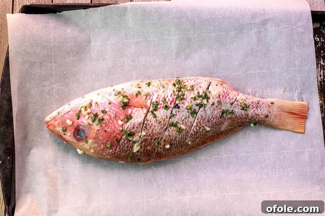 Oven-Grilled Whole Red Snapper 7 Whole red snapper generously coated with the green herb marinade, ready for cooking.