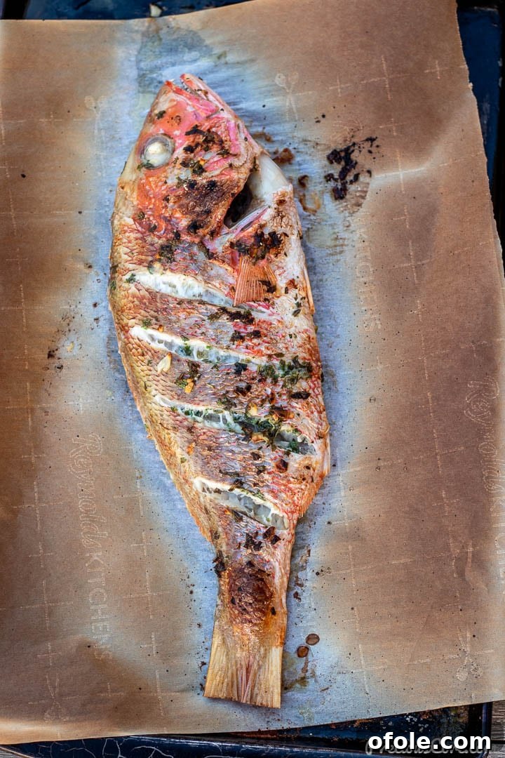 Oven-Grilled Whole Red Snapper 8 A perfectly oven-grilled whole red snapper on a baking sheet, with golden, crispy skin.