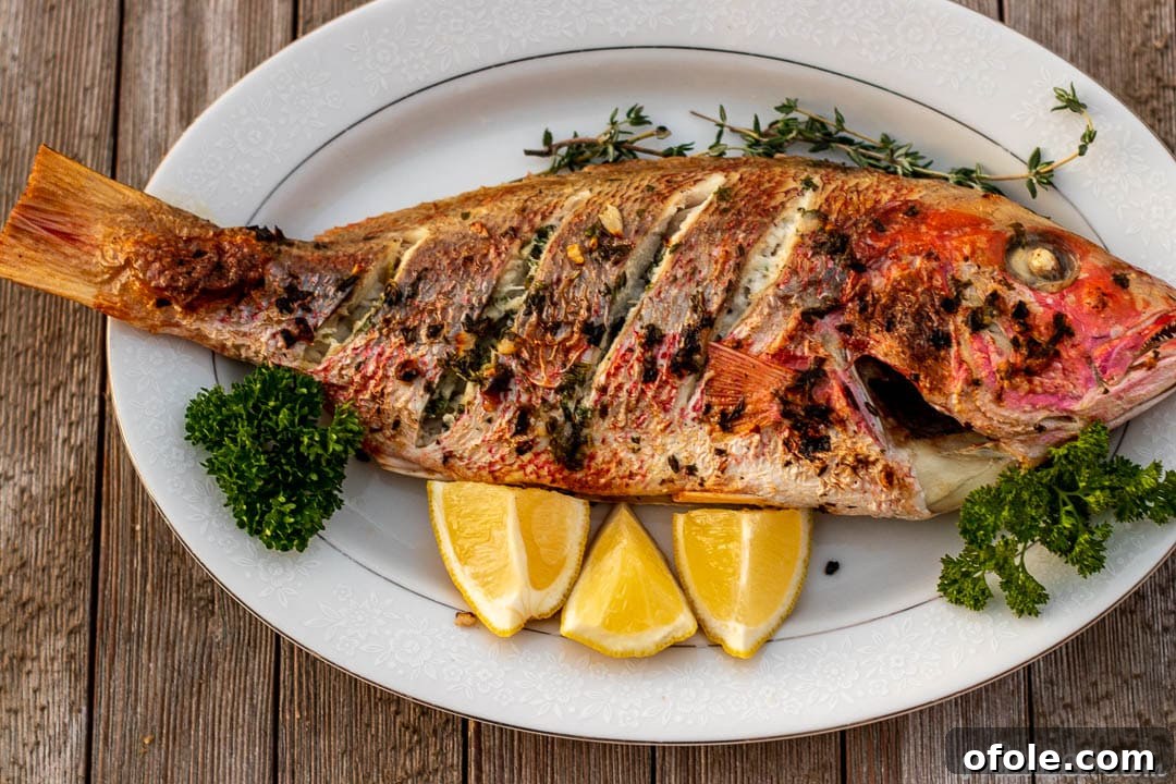 Oven-Grilled Whole Red Snapper 9 A glorious oven-grilled whole red snapper resting on a serving platter, garnished with fresh herbs and lemon.