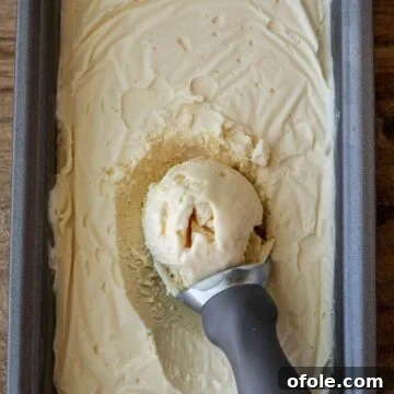 Vanilla ice cream in a load pan with scoop on top
