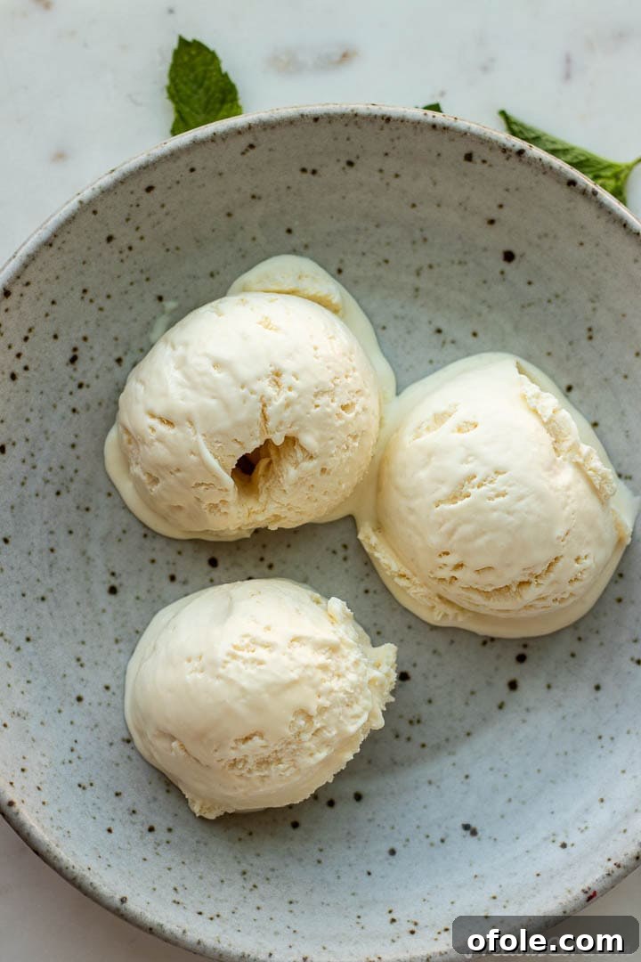 Whip Up Your Own Classic Vanilla Ice Cream Step By Step 4 3 scoops of homemade vanilla ice cream in a bowl.
