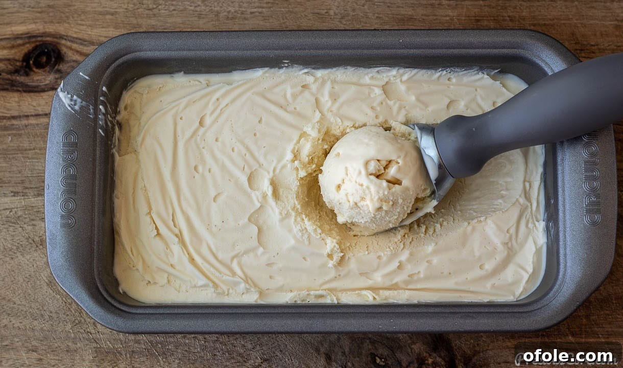 Whip Up Your Own Classic Vanilla Ice Cream Step By Step 5 homemade vanilla ice cream in a loaf pan