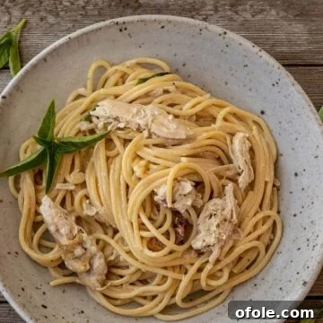 easy chicken spaghetti in a bowl