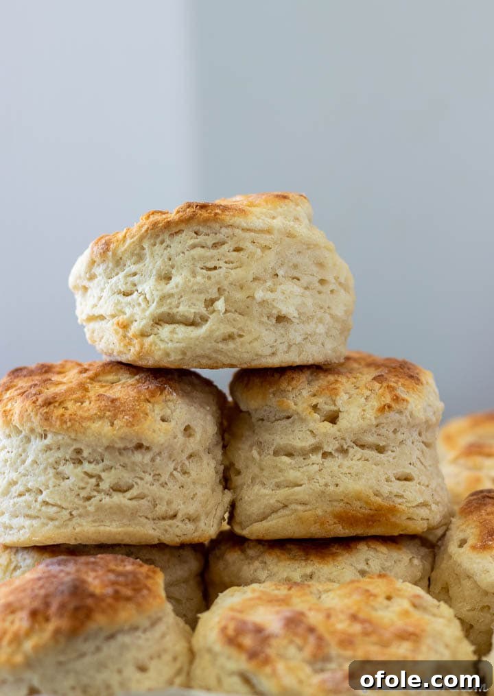 A tower of freshly baked, golden-brown cream cheese biscuits, showcasing their fluffy texture.