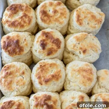 Biscuits made with cream cheese on a baking sheet.