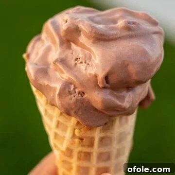 Hand holding a cone of homemade chocolate ice cream, ready to be enjoyed.