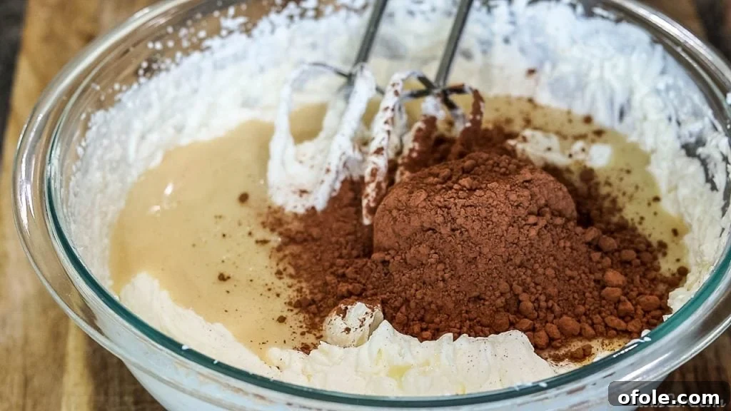 Sweetened condensed milk and cocoa powder being added to a bowl of freshly whipped cream, signaling the next step in the ice cream making process.