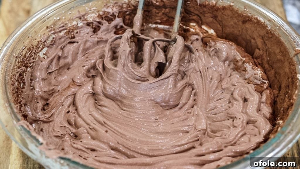 The smooth, creamy chocolate ice cream mixture, perfectly combined and ready to be frozen, demonstrating its enticing consistency.