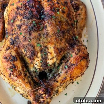 Whole herb roasted chicken on a platter