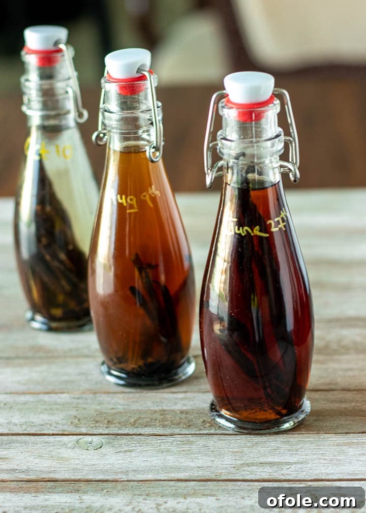 Three glass bottles of homemade vanilla extract, each with a different label and color, lined up horizontally.