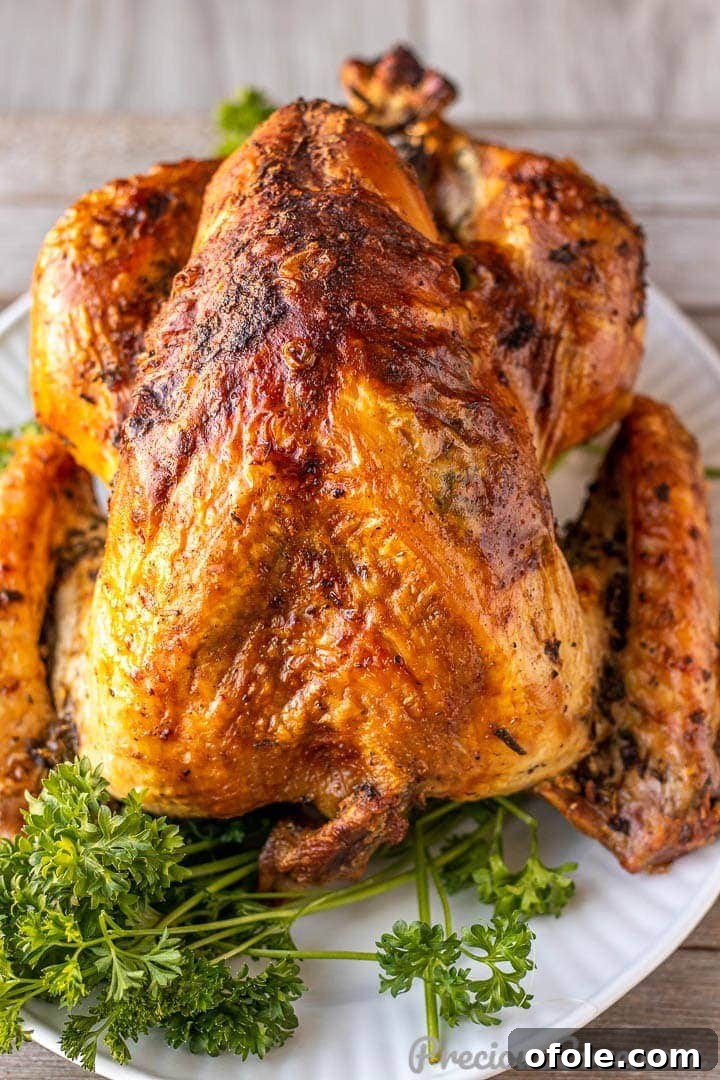 Whole herb roasted turkey on a white platter, beautifully garnished with fresh parsley and rosemary sprigs, ready to be served.