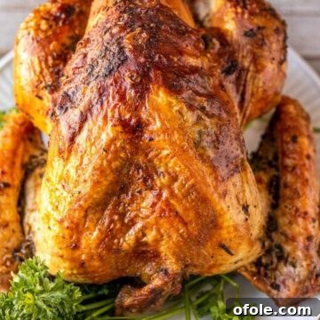Whole herb roasted turkey on white platter, garnished with parsley and herbs