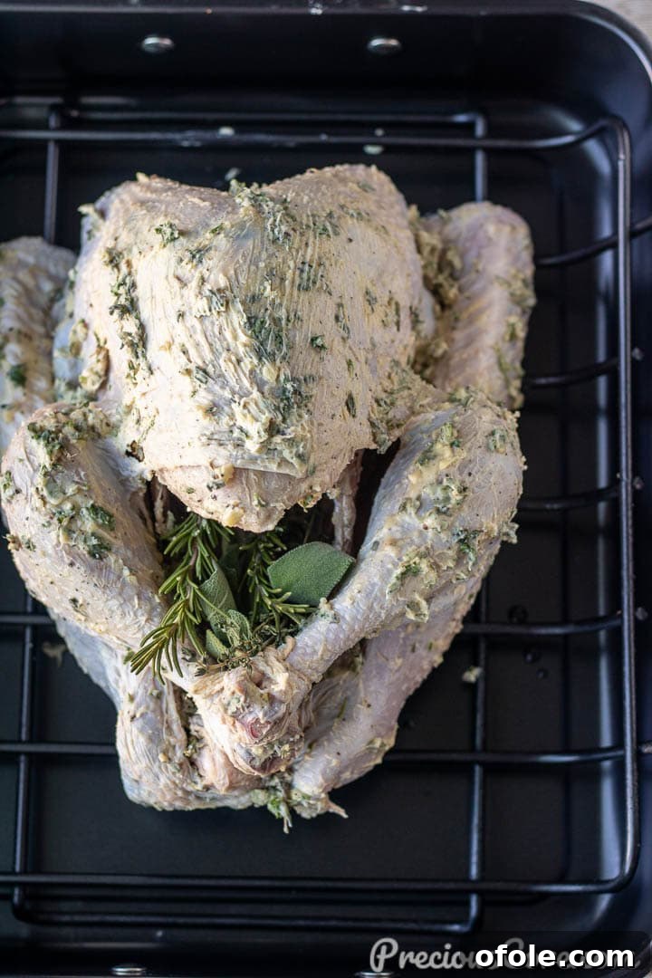 Raw turkey rubbed generously with aromatic garlic herb butter, illustrating the butter spread both underneath and over the skin for maximum infusion.