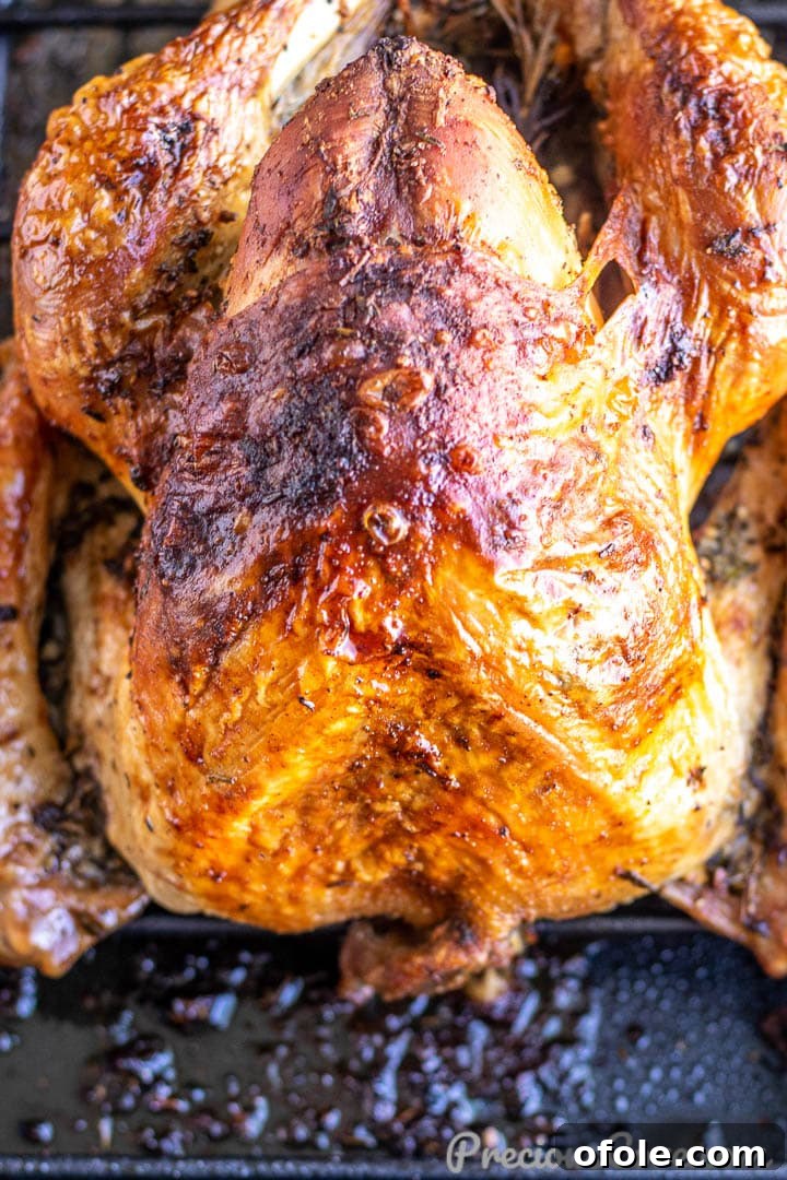 A perfectly roasted whole turkey, golden brown and glistening with juices, resting in a roasting pan after being removed from the oven.
