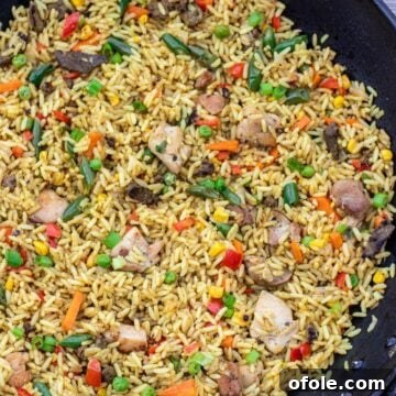 Wok filled with African Fried Rice, a full serving