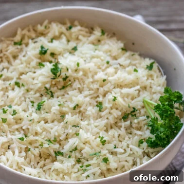Square image of garlic rice.