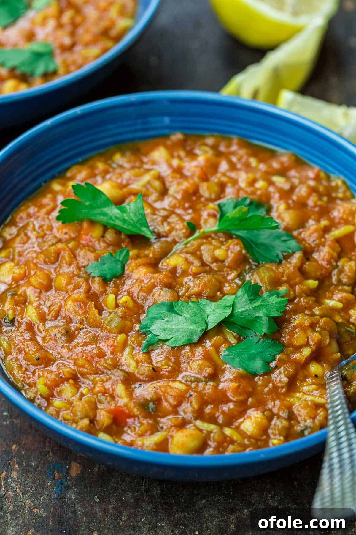 Discover Africa: 20 Irresistible Dinner Recipes 11 A warm bowl of Harira, a traditional North African Moroccan lentil and chickpea soup.