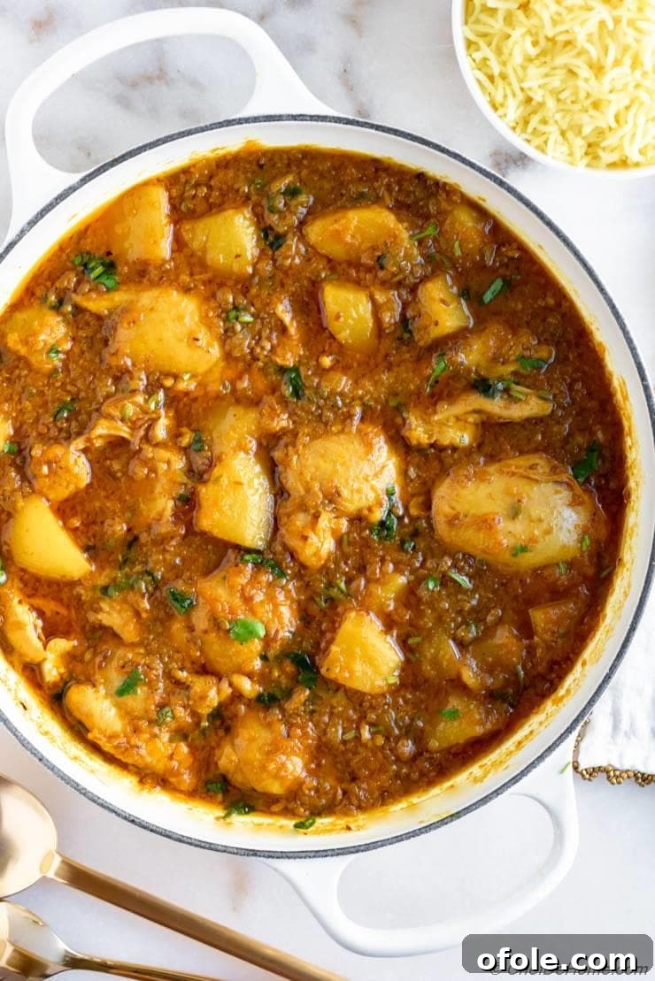 Discover Africa: 20 Irresistible Dinner Recipes 22 A flavorful bowl of Cape Malay Chicken Curry, a delightful South African dinner.