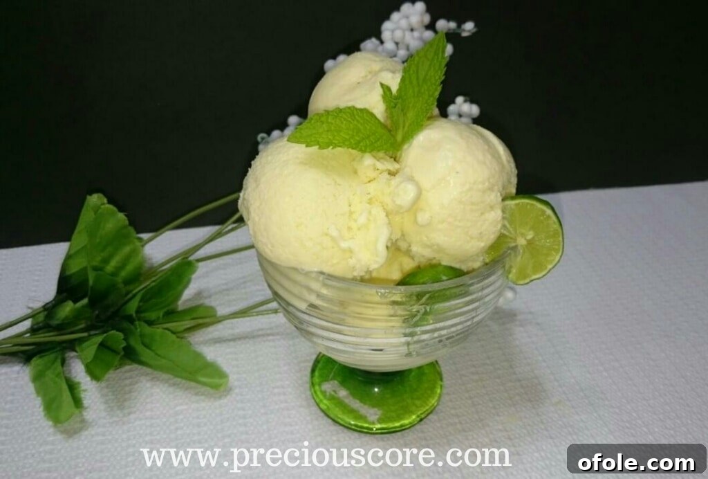 Scoops of homemade Key Lime Mint Ice Cream garnished with fresh mint