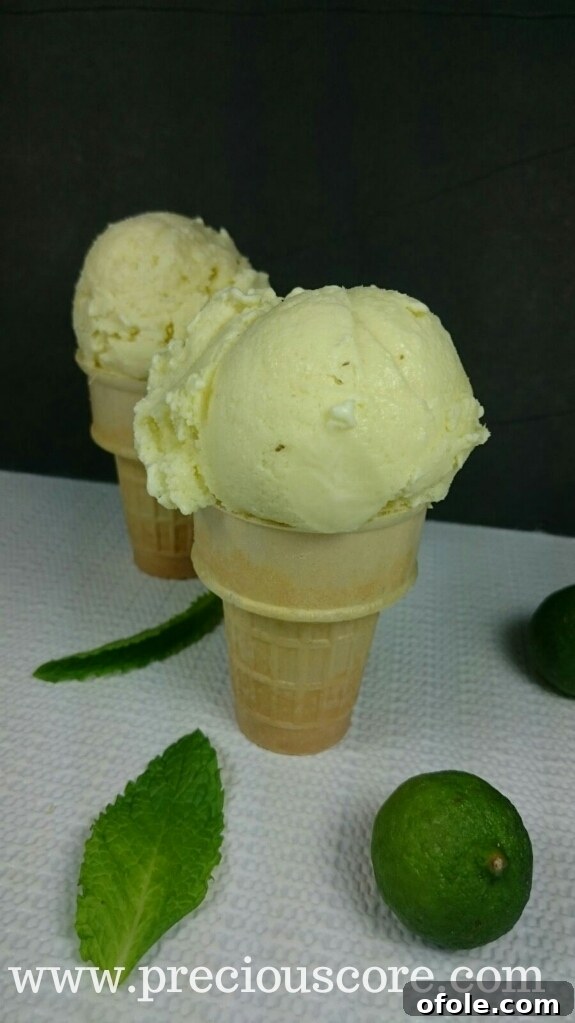 Ingredients for Key Lime Mint Ice Cream laid out on a table