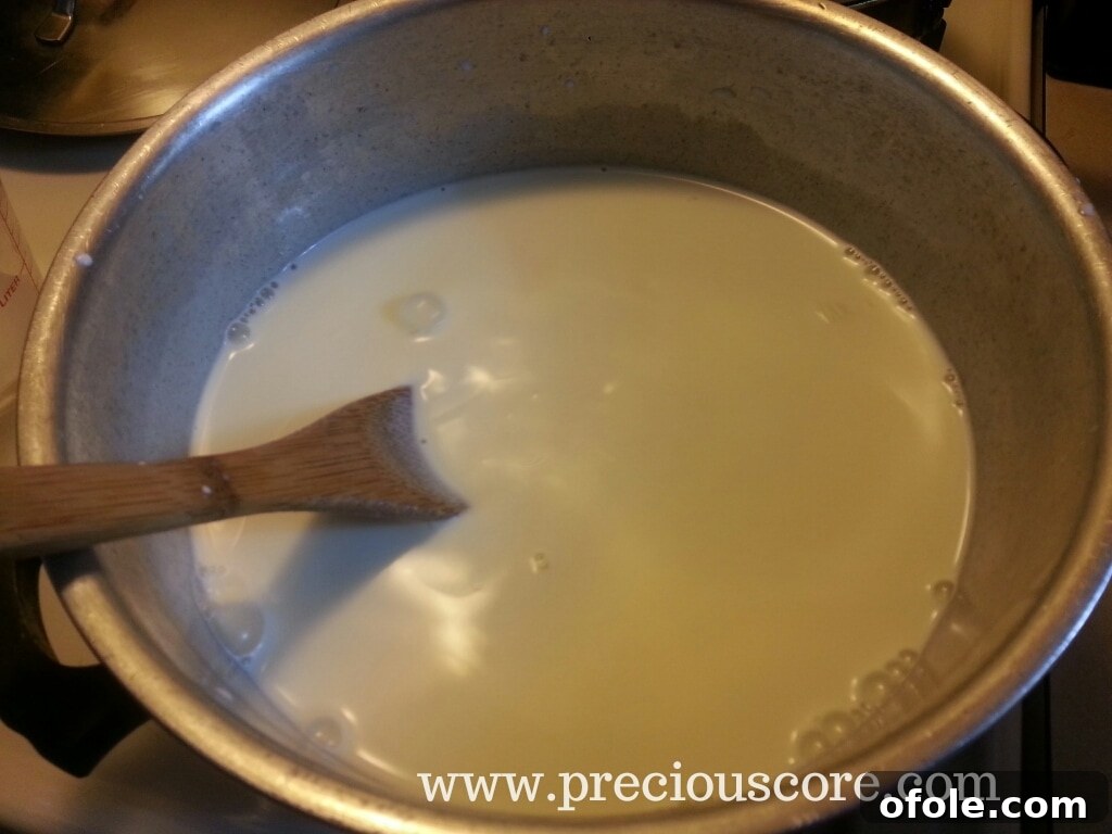 Dairy mixture with fresh mint leaves gently heating in a pot