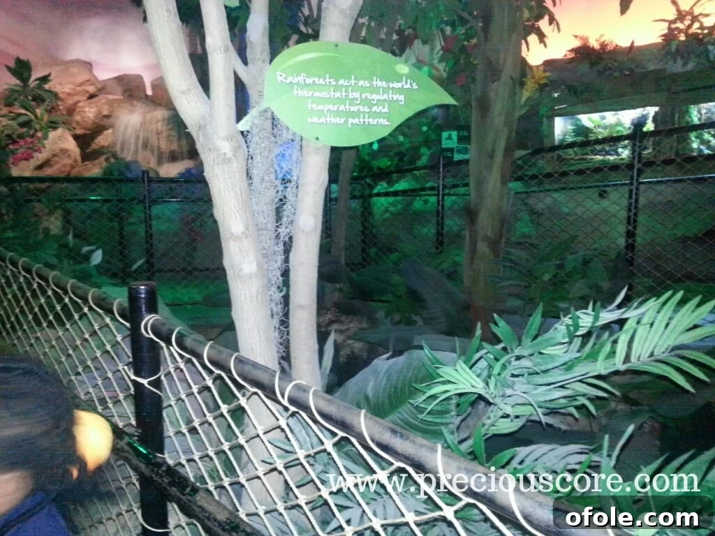 A lush, dense tropical rainforest exhibit within the aquarium, featuring vibrant flora and cascades